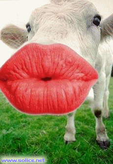 c l ta vach mélani???